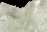 Green Fluorite Crystal Cluster - China #46157-2